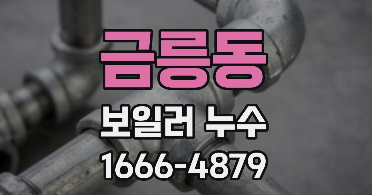 금릉동 보일러 누수