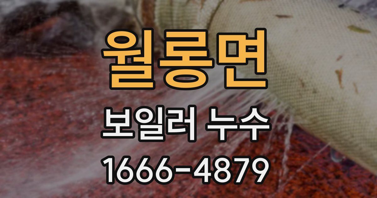 월롱면 보일러 누수