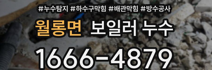 월롱면 보일러 누수