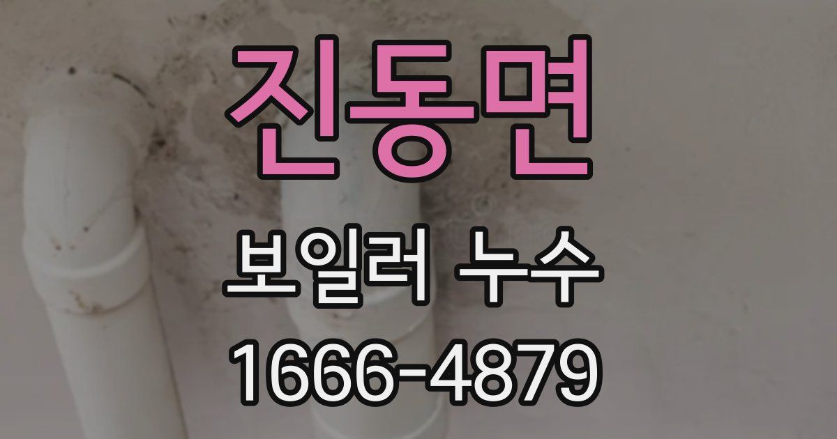 진동면 보일러 누수