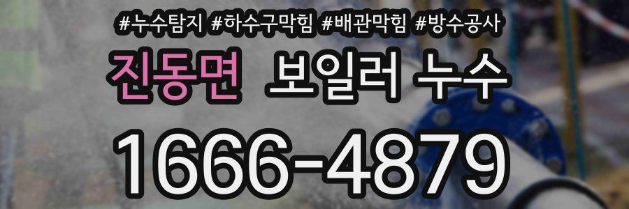 진동면 보일러 누수