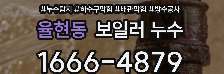 율현동 보일러 누수