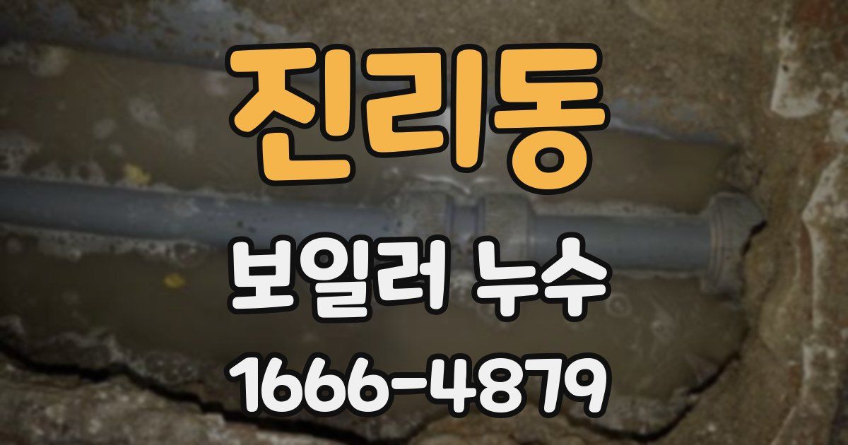 진리동 보일러 누수