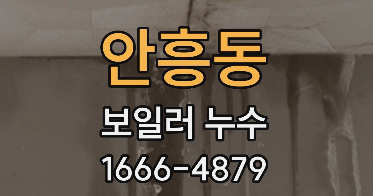 안흥동 보일러 누수