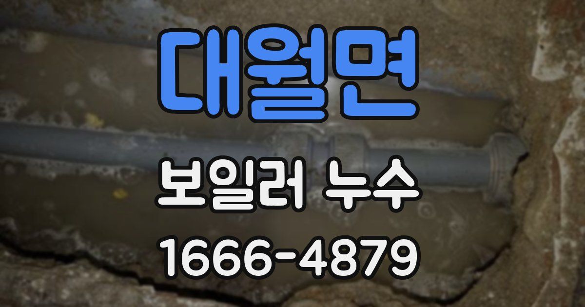 대월면 보일러 누수