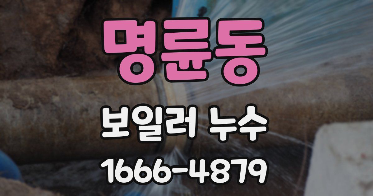 명륜동 보일러 누수