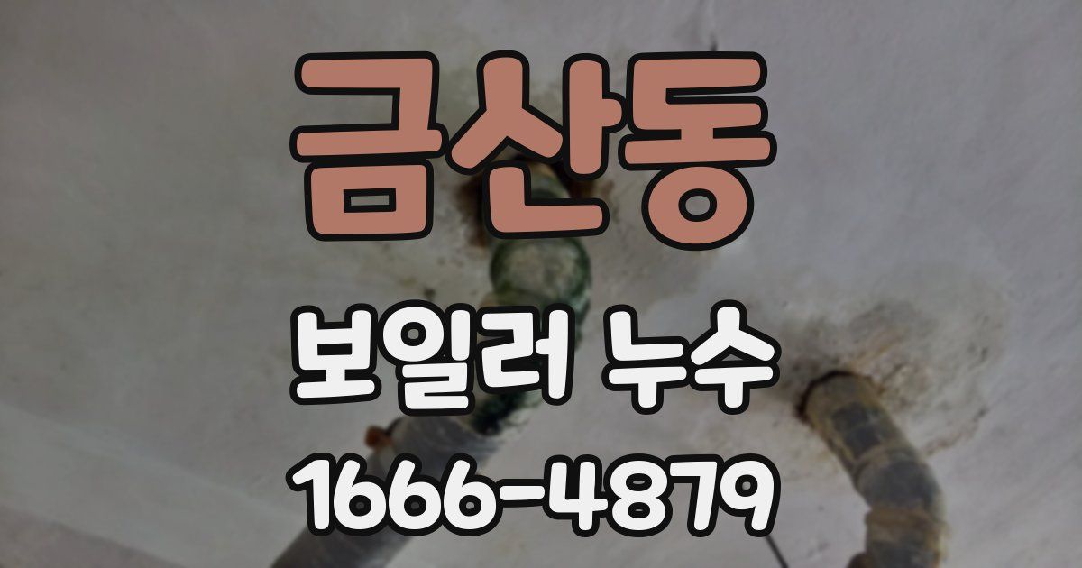 금산동 보일러 누수