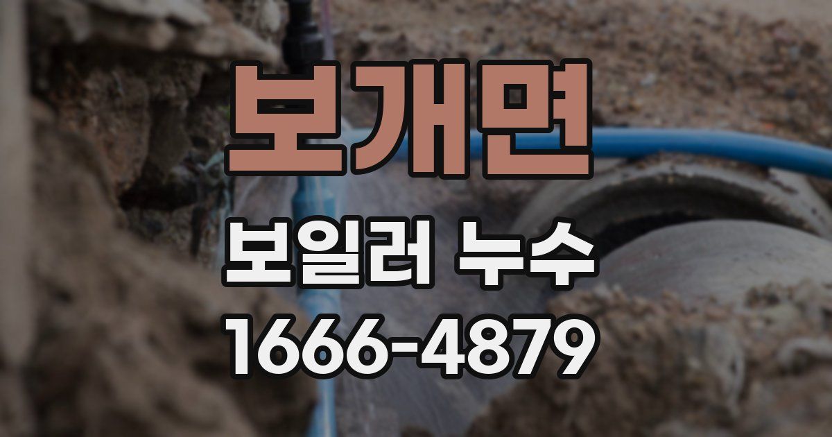보개면 보일러 누수