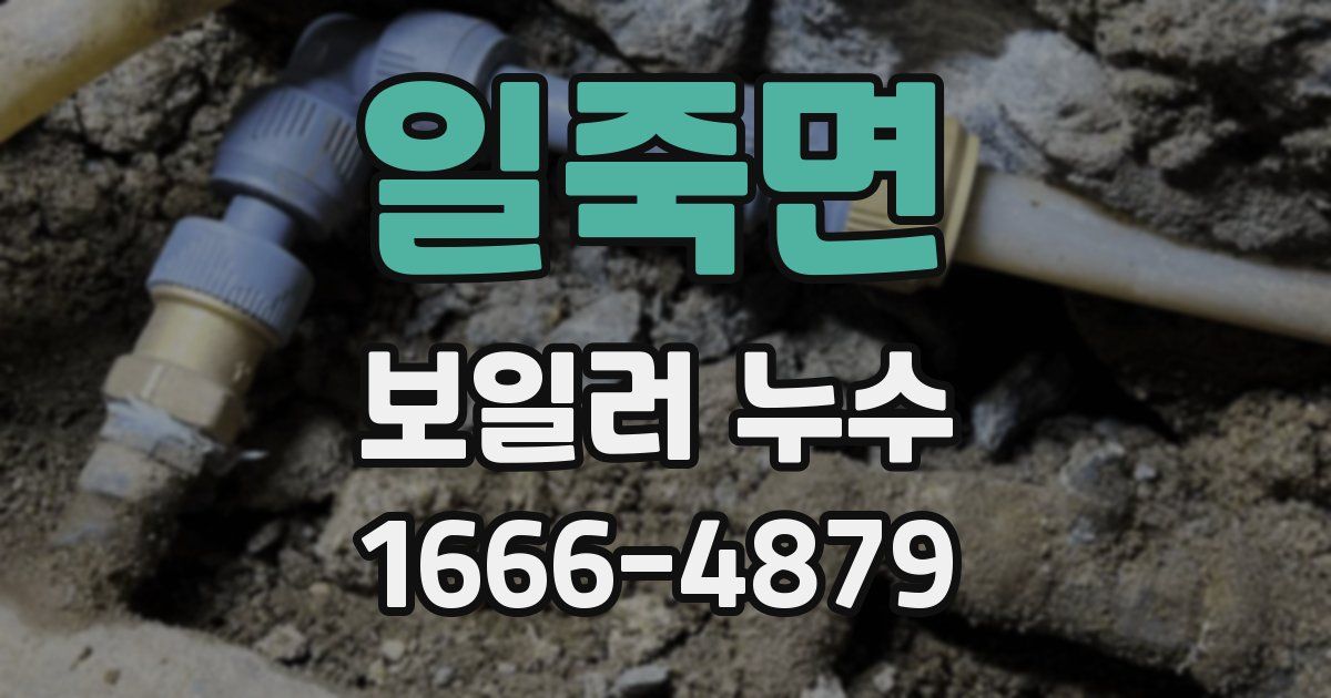 일죽면 보일러 누수