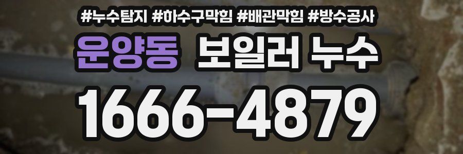 운양동 보일러 누수