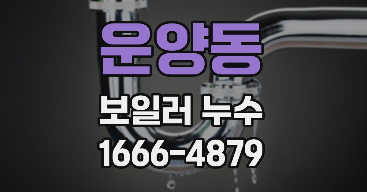 운양동 보일러 누수