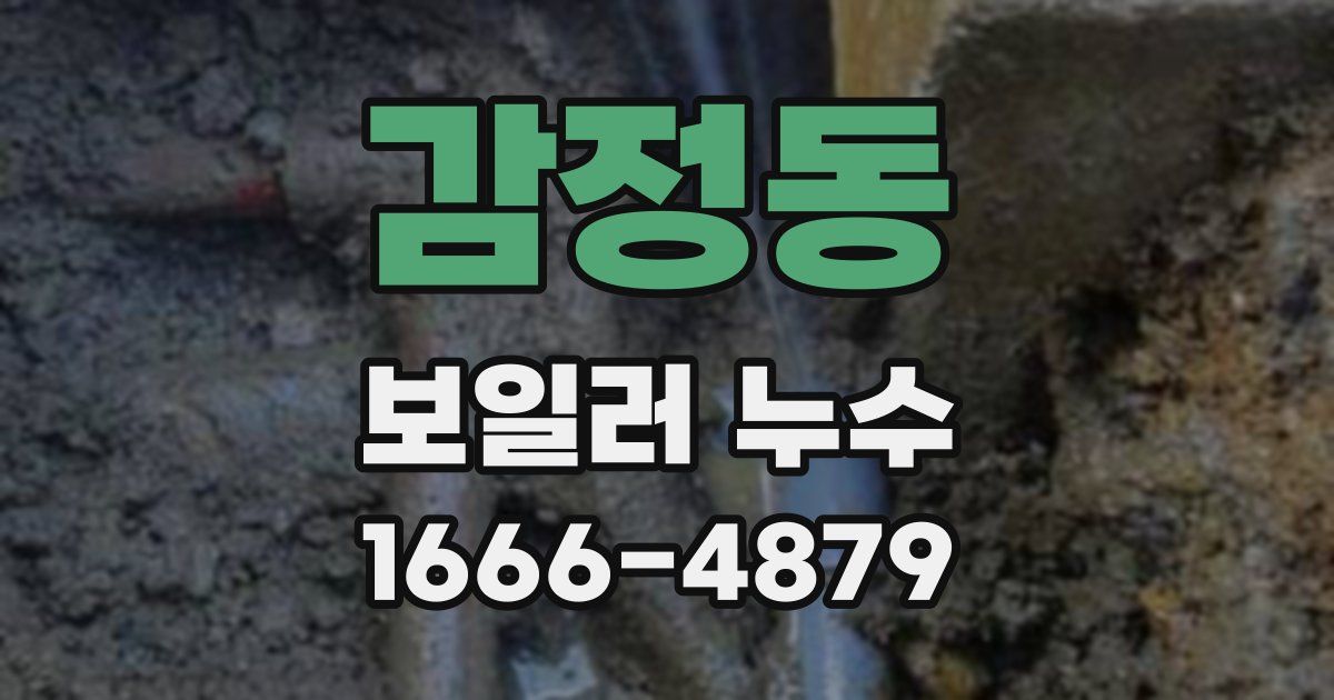 감정동 보일러 누수