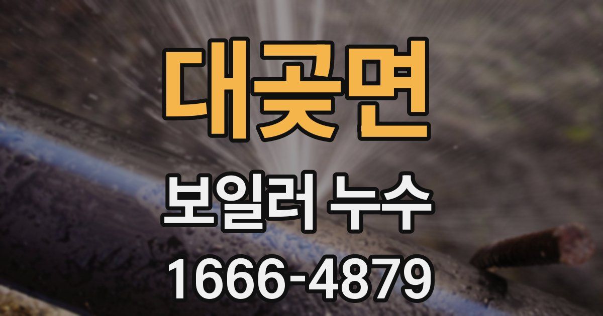 대곶면 보일러 누수
