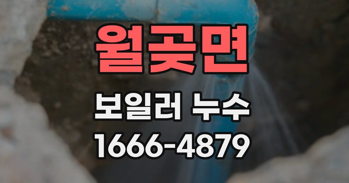 월곶면 보일러 누수