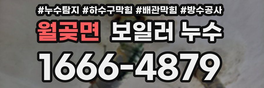 월곶면 보일러 누수