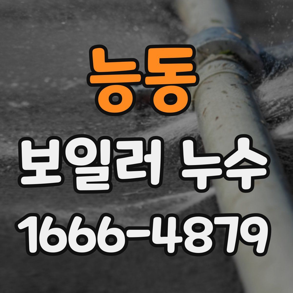 능동 보일러 누수