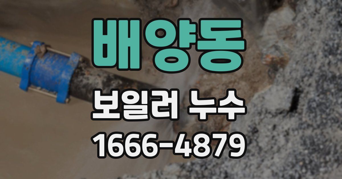 배양동 보일러 누수