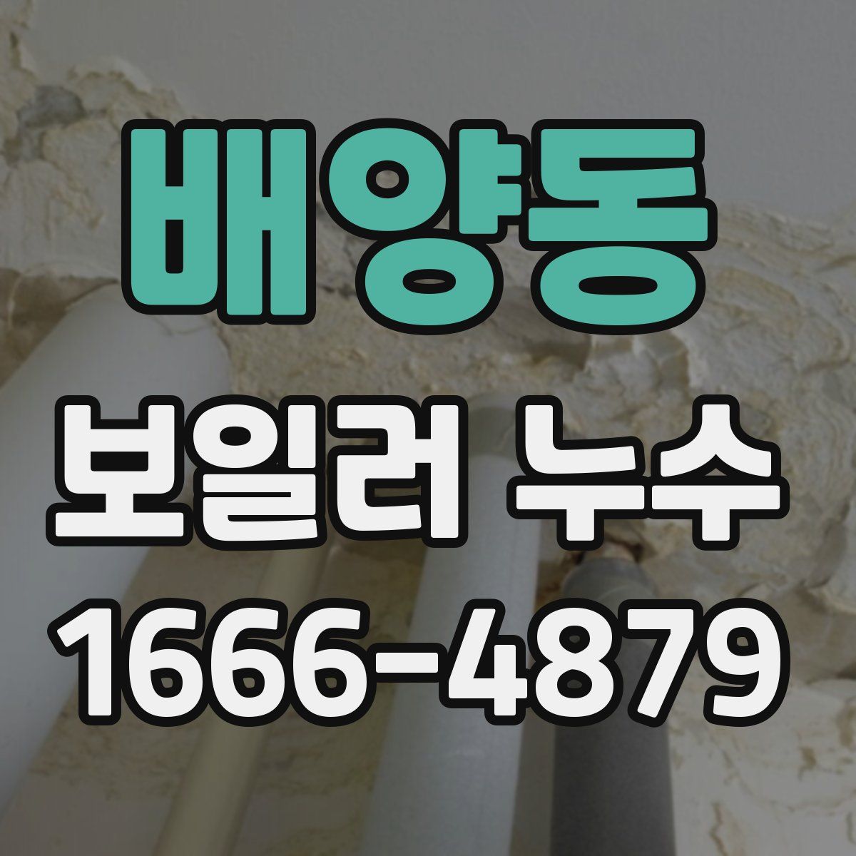 배양동 보일러 누수