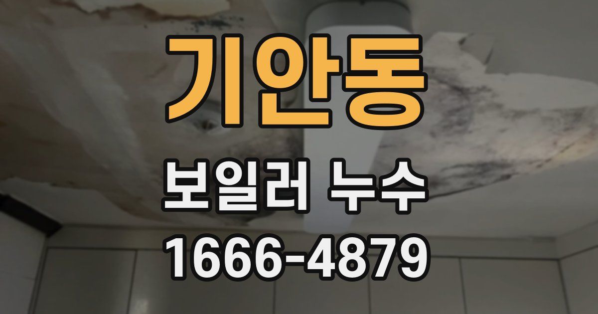 기안동 보일러 누수