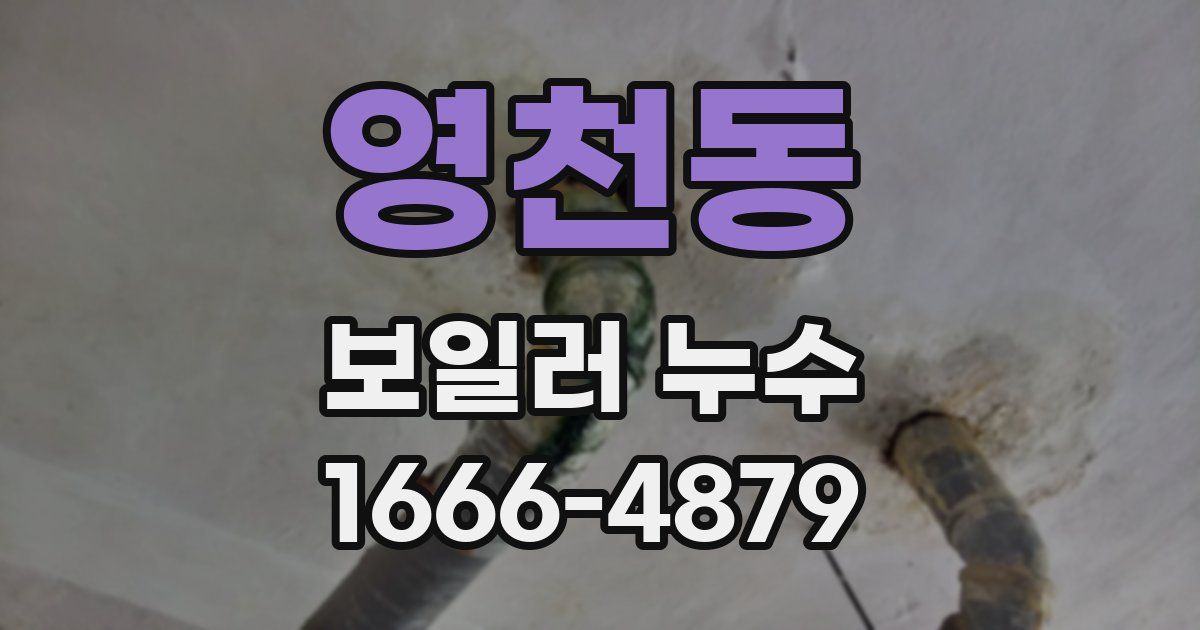 영천동 보일러 누수