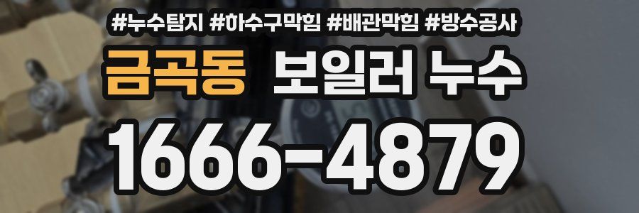 금곡동 보일러 누수