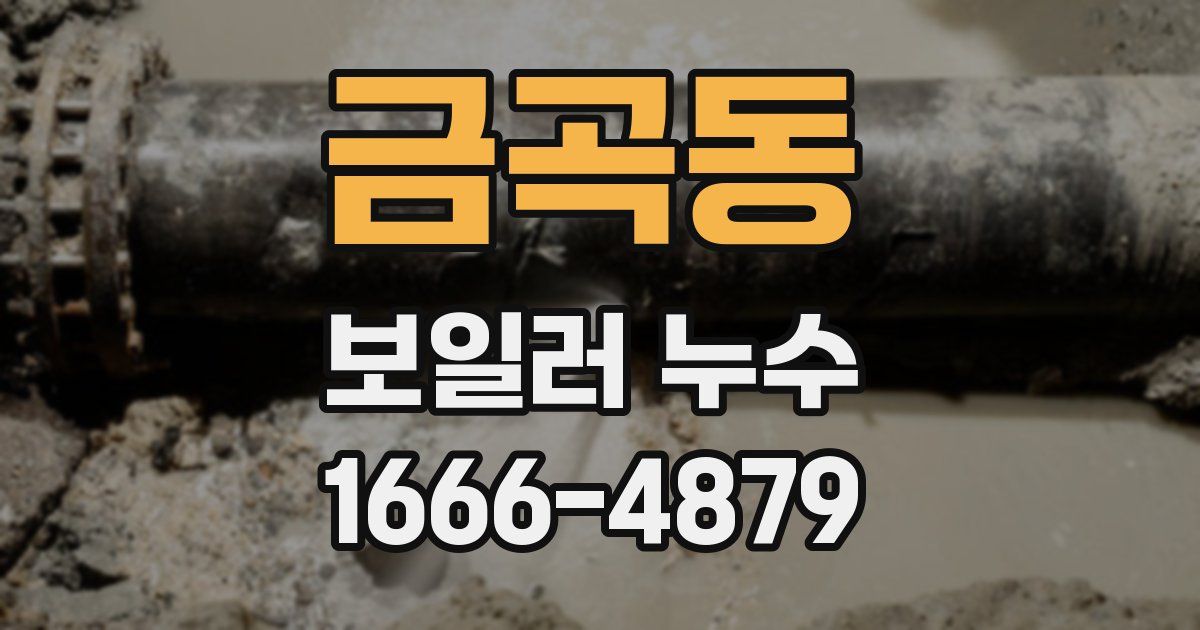 금곡동 보일러 누수