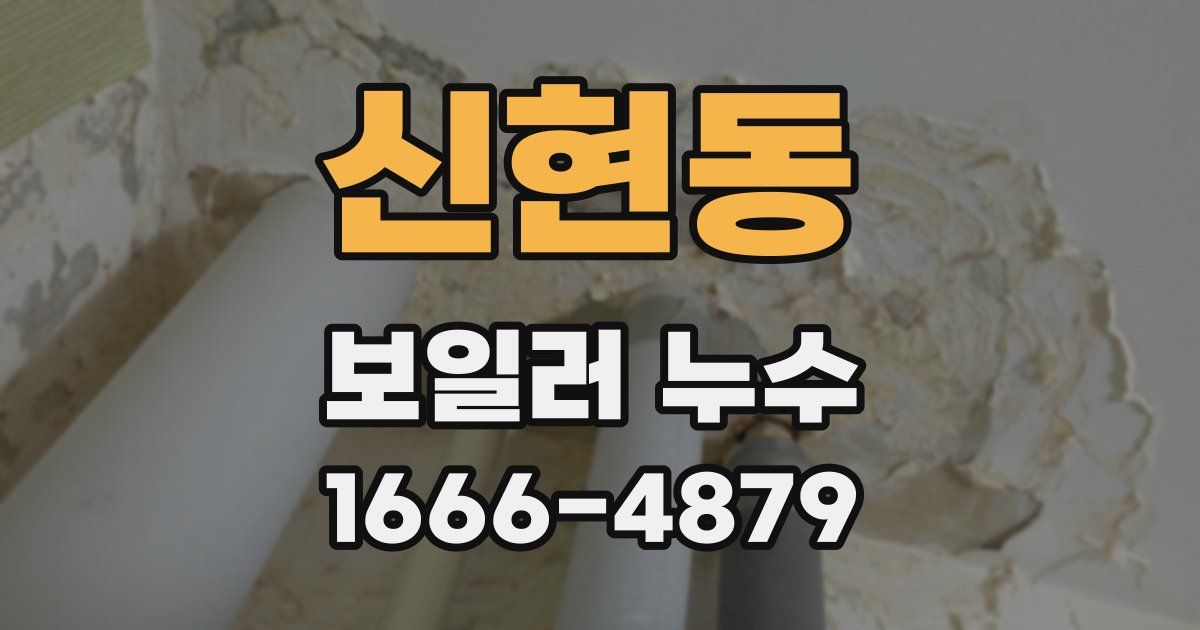 신현동 보일러 누수