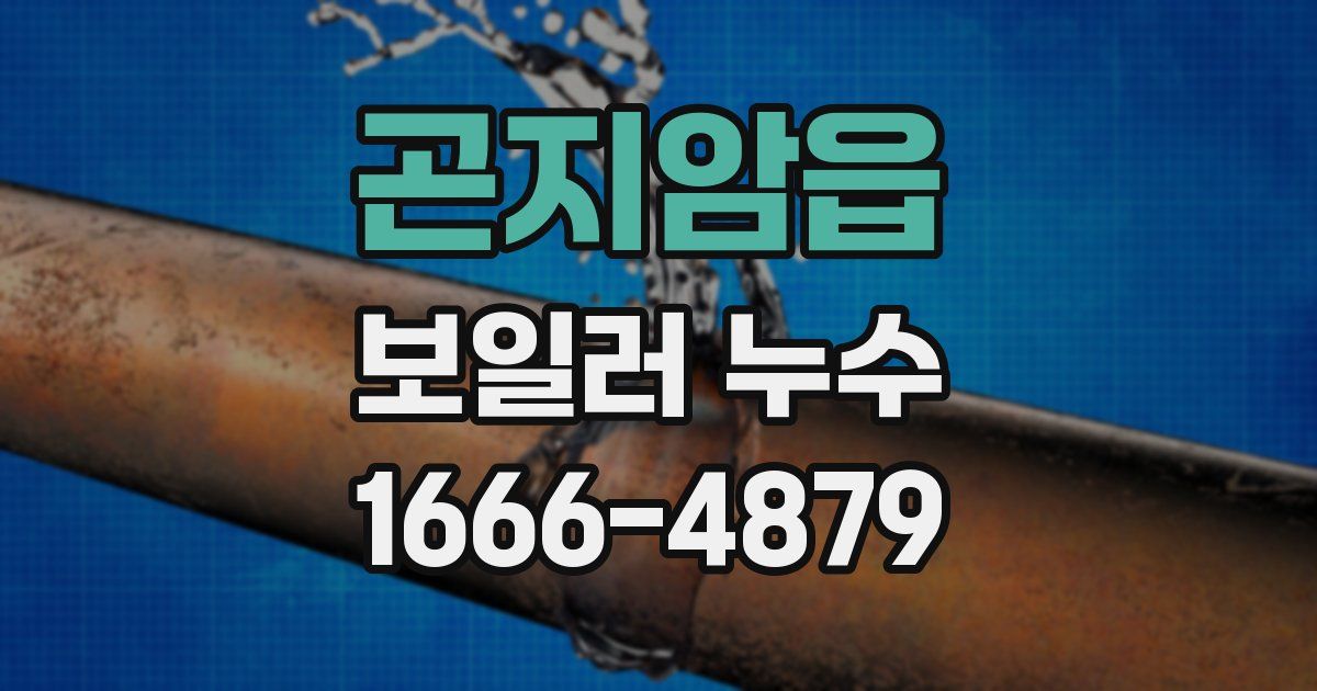 곤지암읍 보일러 누수