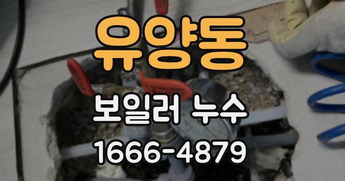 유양동 보일러 누수