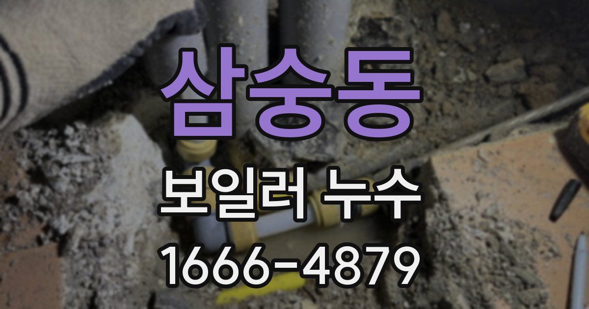 삼숭동 보일러 누수