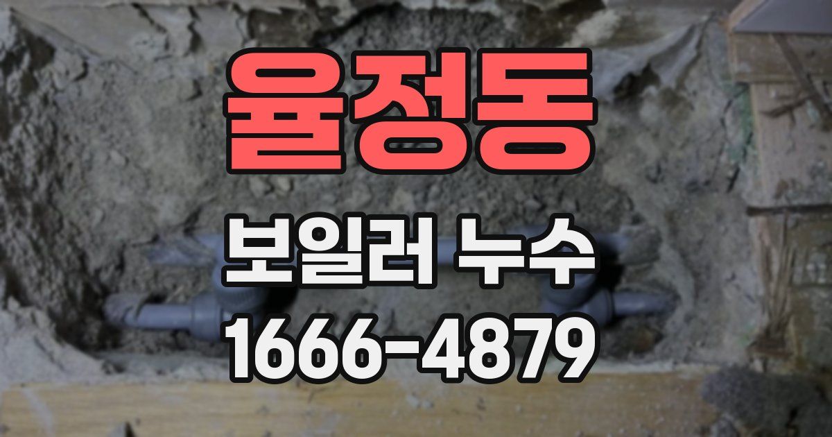 율정동 보일러 누수