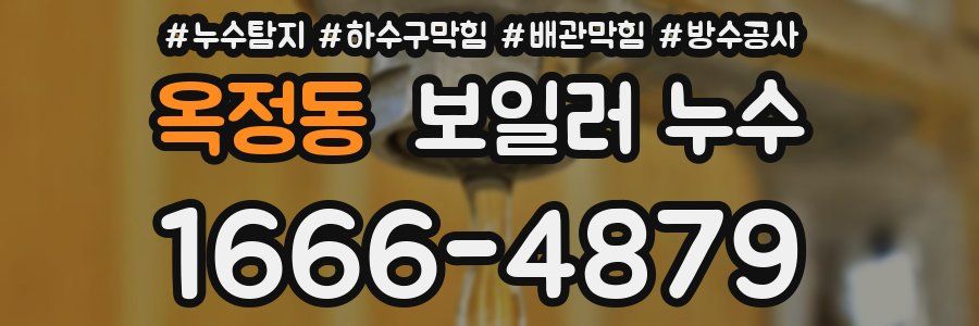 옥정동 보일러 누수