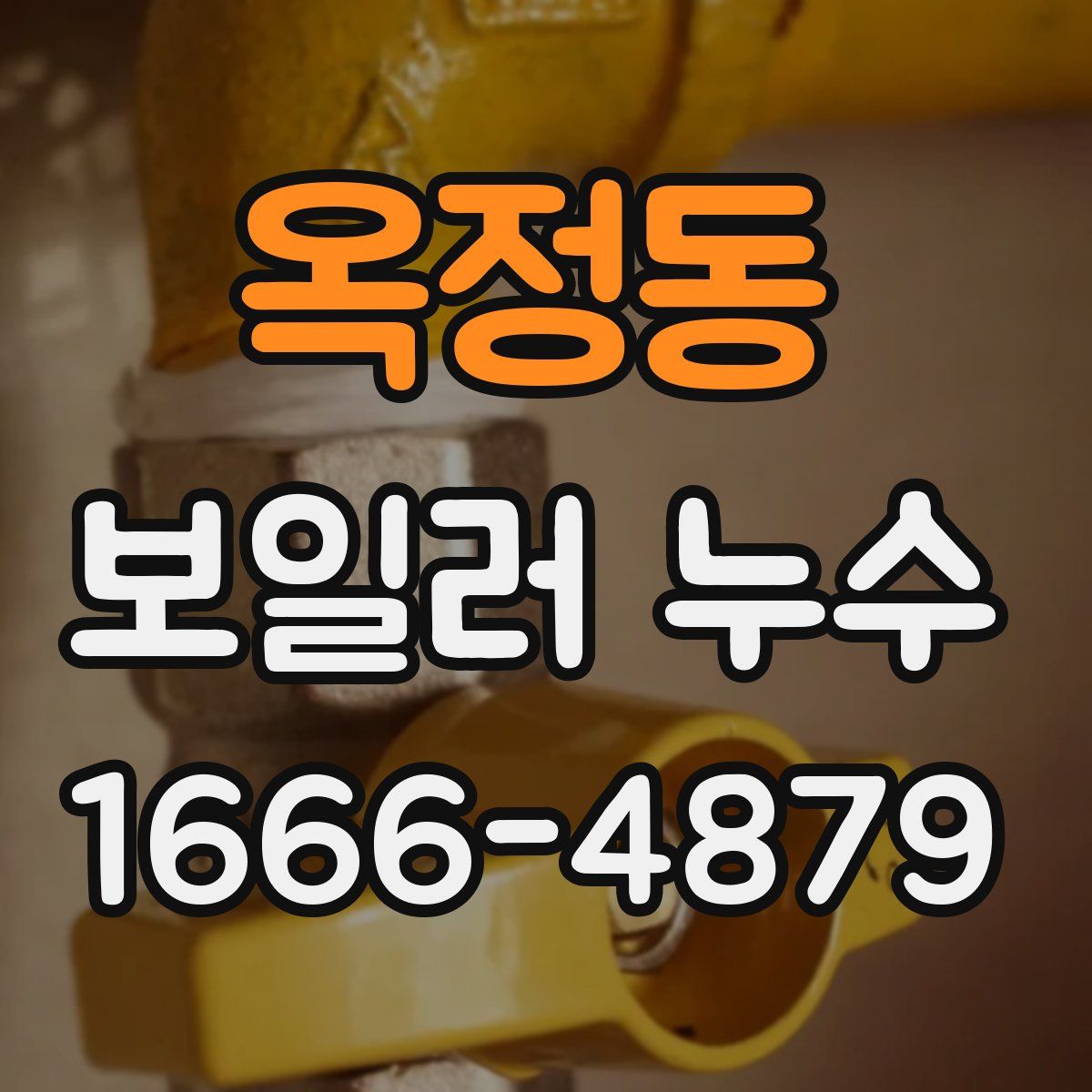 옥정동 보일러 누수