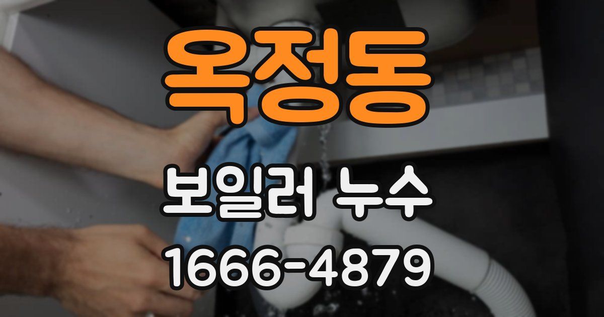 옥정동 보일러 누수
