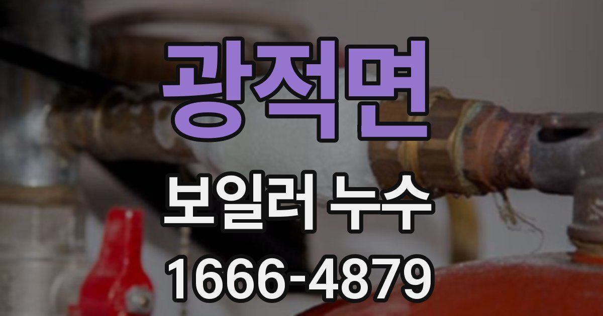 광적면 보일러 누수