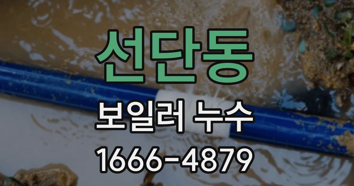 선단동 보일러 누수