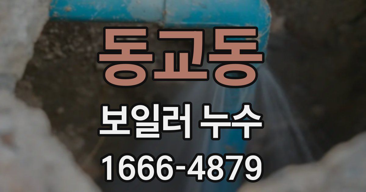 동교동 보일러 누수