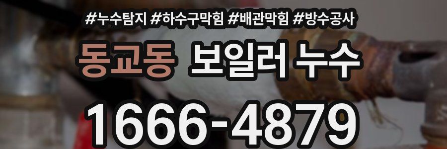 동교동 보일러 누수