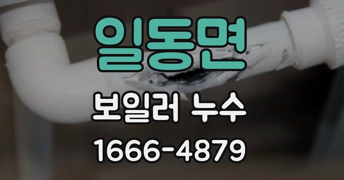 일동면 보일러 누수