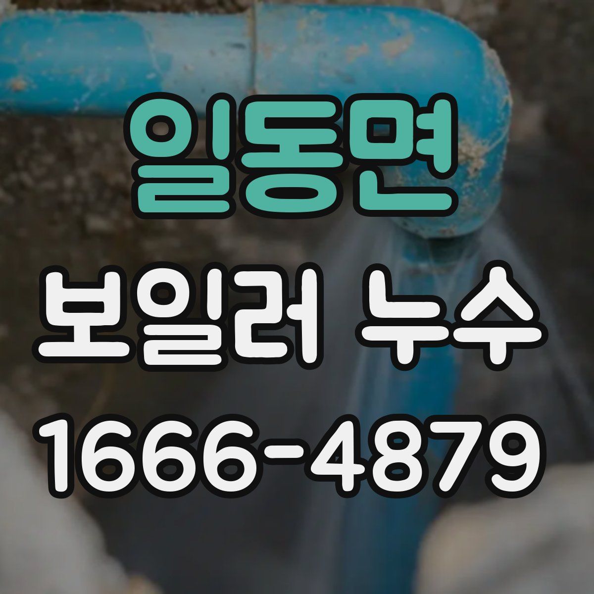 일동면 보일러 누수