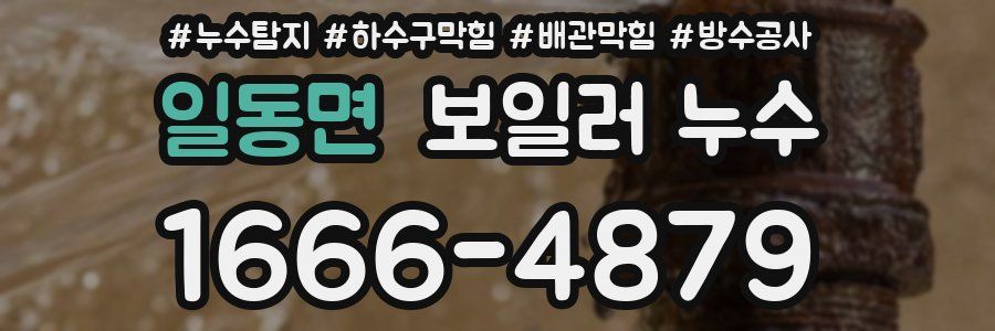 일동면 보일러 누수