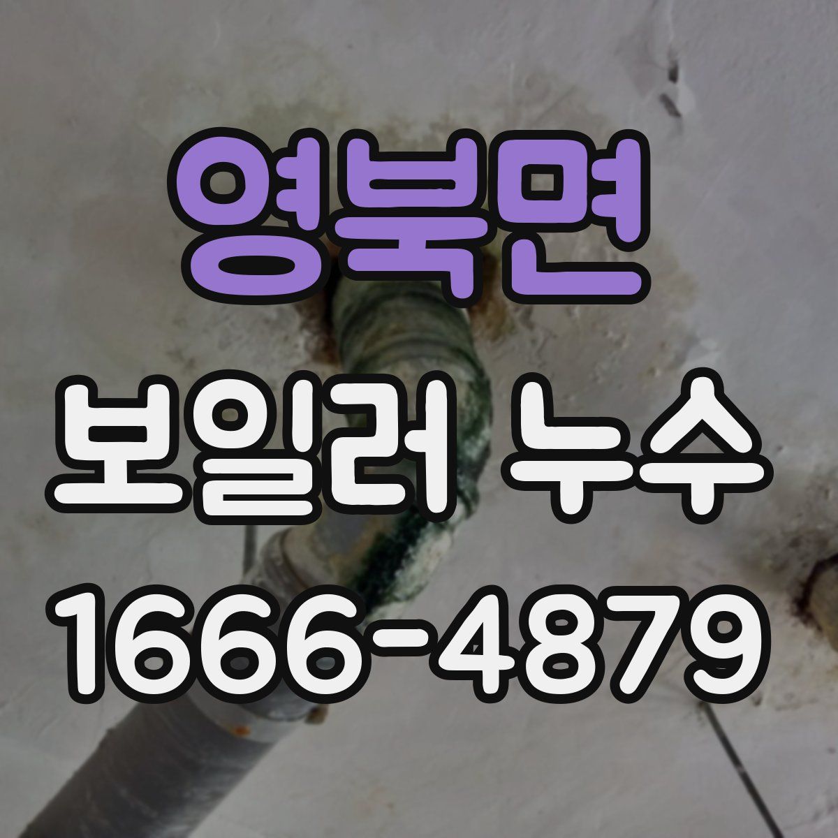 영북면 보일러 누수