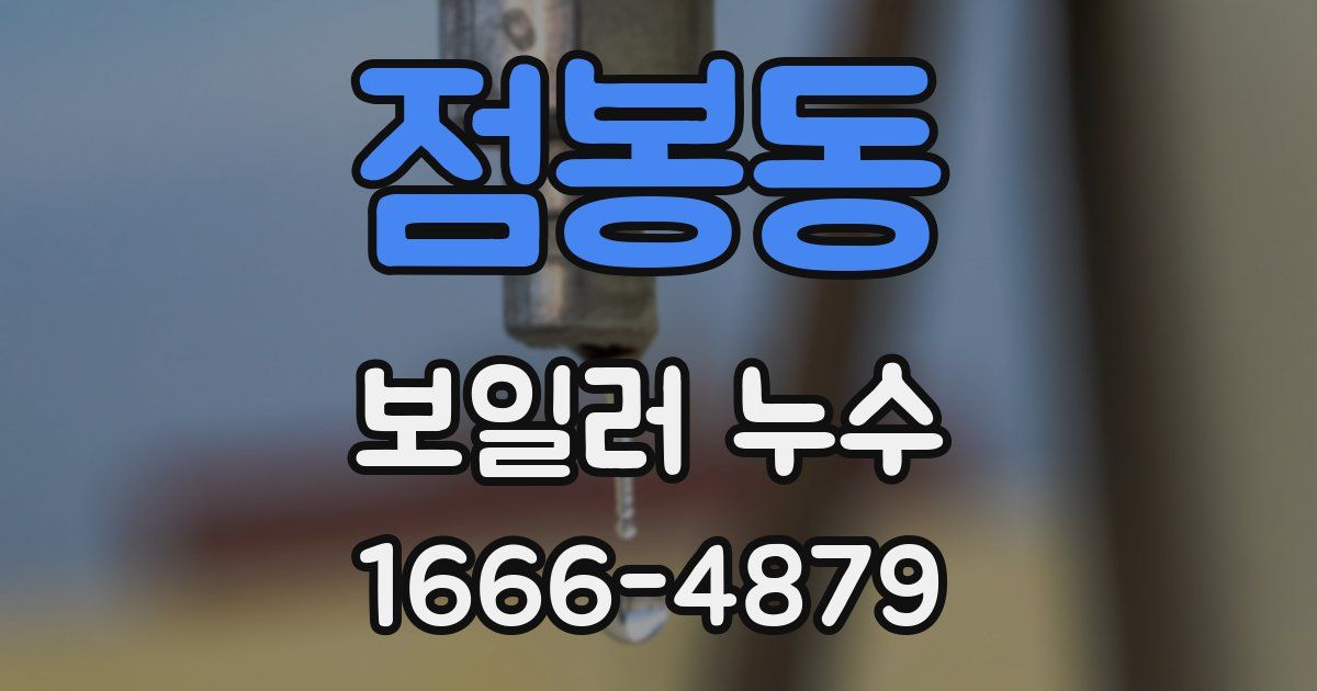 점봉동 보일러 누수