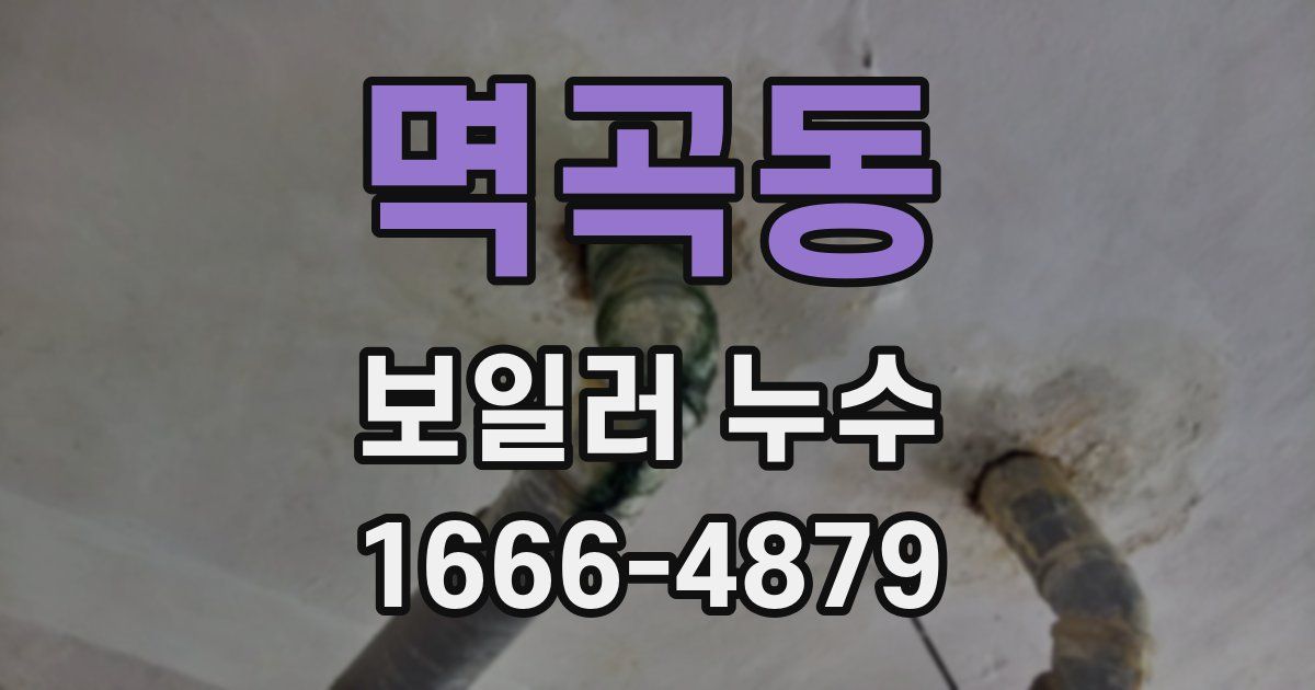 멱곡동 보일러 누수