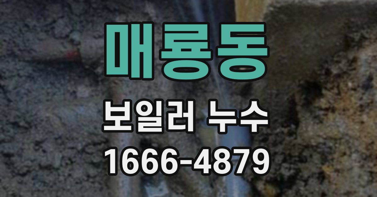 매룡동 보일러 누수