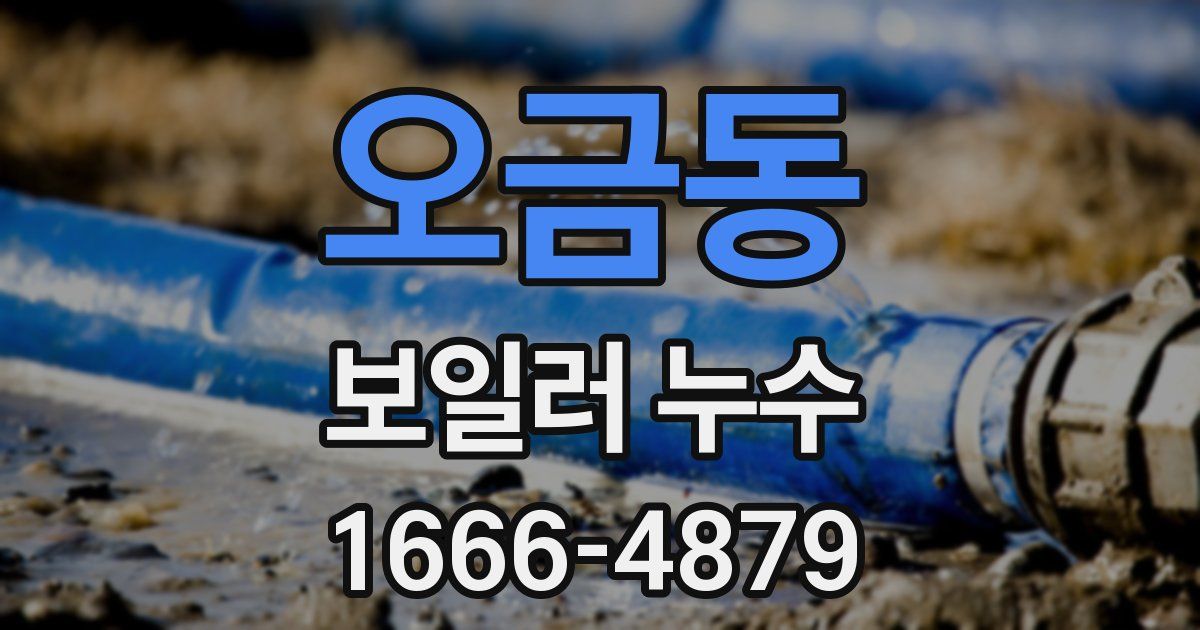 오금동 보일러 누수