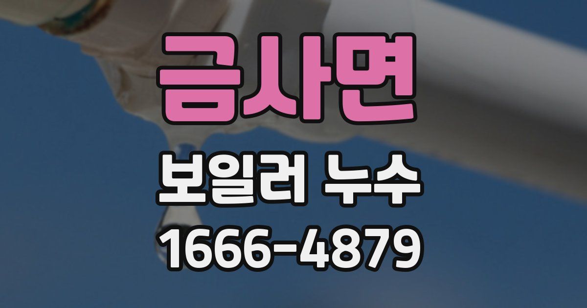 금사면 보일러 누수