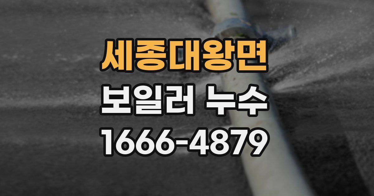 세종대왕면 보일러 누수