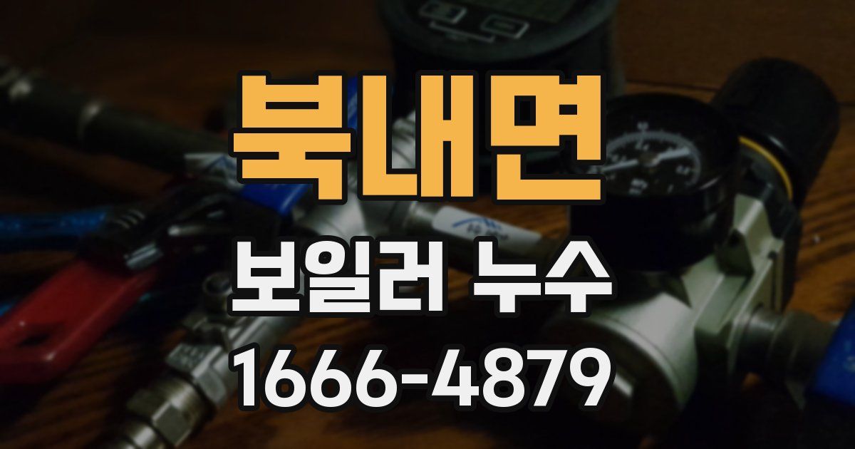 북내면 보일러 누수