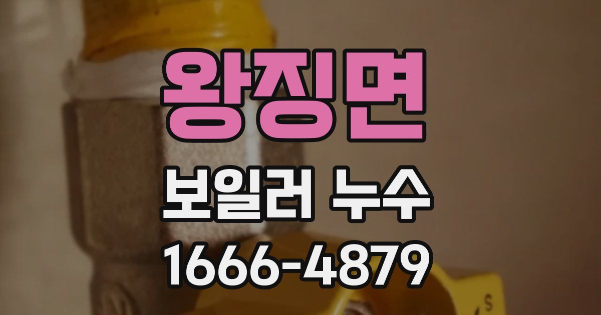 왕징면 보일러 누수